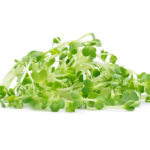 Bioconcolors, chlorophylle, colorants naturels, colorants alimentaires, pigments, teinte