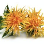 carthame, colorant naturel, colorant alimentaire, colorant alimentaire, BioconColors